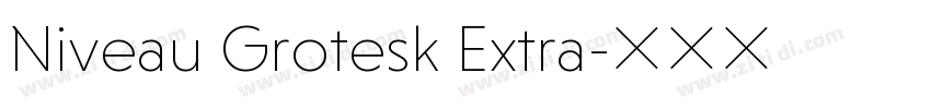 Niveau Grotesk Extra字体转换 Niveau Grotesk Extra字体转换